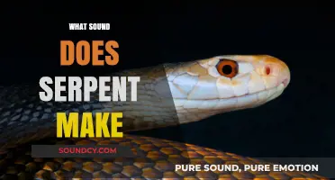 Unveiling the Mysterious Hiss: What Sound Does a Serpent Make?