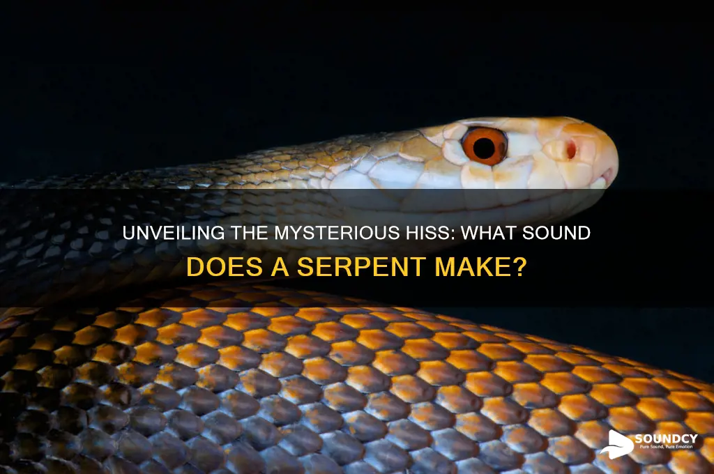 what sound does serpent make
