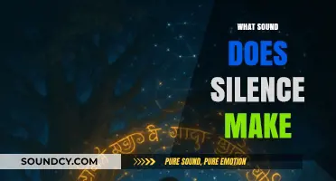 The Echo of Nothingness: Exploring the Sound of Silence