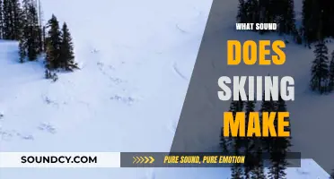 The Swish and Whoosh: Unraveling the Sounds of Skiing