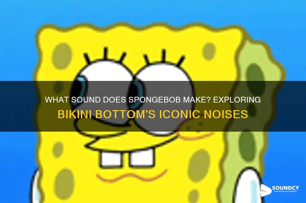 what sound does spongebob make