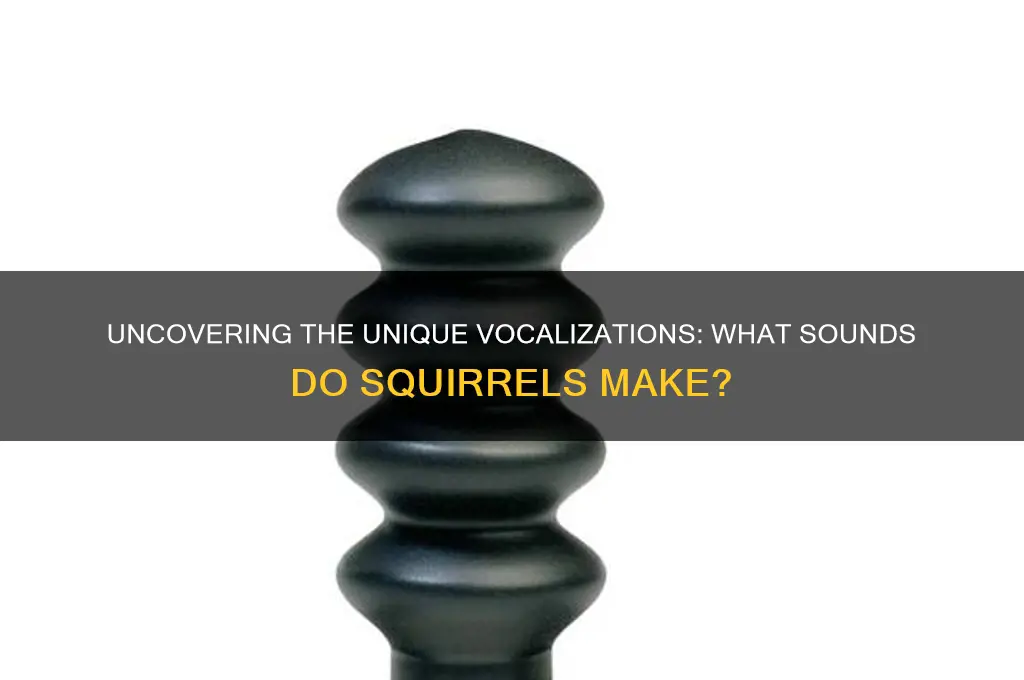 what sound does squirrels make