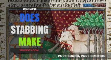The Chilling Sound of Stabbing: Unveiling the Eerie Noise of Violence