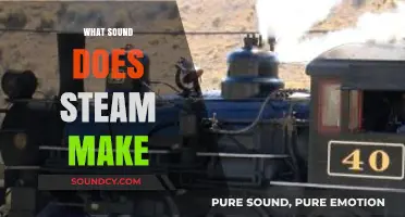 Unveiling the Subtle Hiss: What Sound Does Steam Really Make?