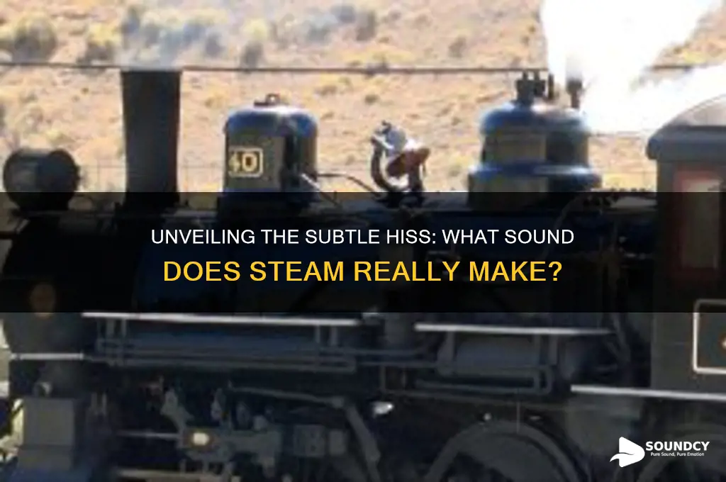 what sound does steam make
