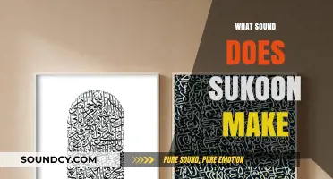 The Silent Echo: Exploring the Sound of Sukoon in Urdu Poetry
