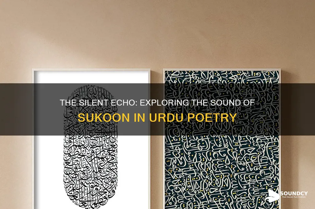 what sound does sukoon make