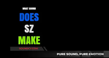 Unraveling the Mystery: What Sound Does 'Sz' Make in Different Languages?