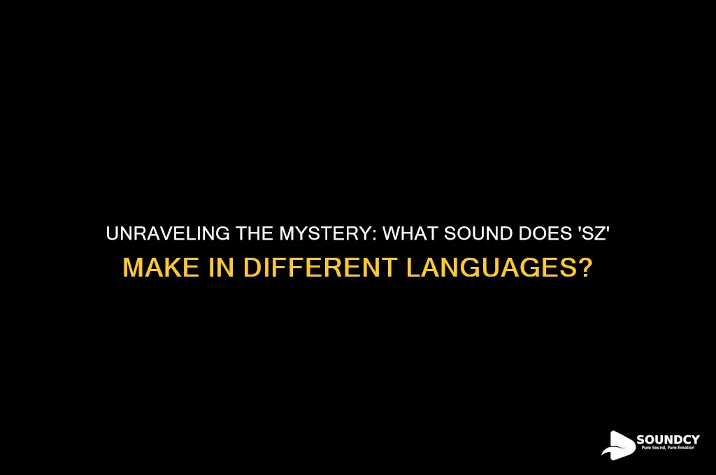 what sound does sz make