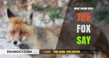 The Fox's Unique Call: Unraveling the Mystery