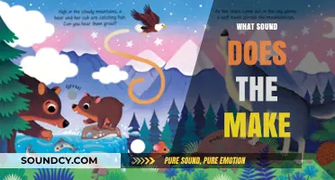 Unraveling the Mystery: What Sound Does the [Animal/Object] Make?