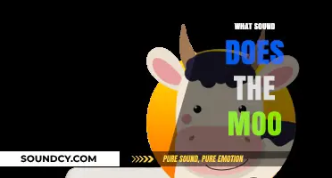 Unraveling the Mystery: What Sound Does the Moo Truly Make?
