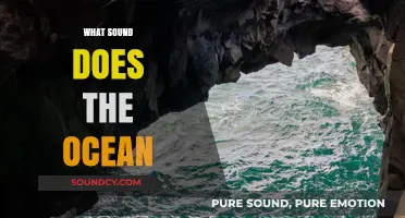 The Ocean's Symphony: Unraveling the Mystical Sounds of the Sea