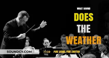 Weather's Symphony: Unveiling the Sounds of Nature's Atmospheric Orchestra