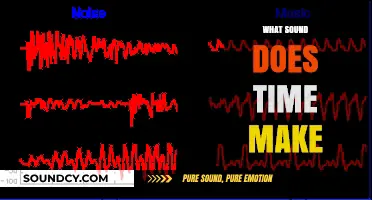The Silent Echo: Unraveling Time's Elusive Sonic Signature