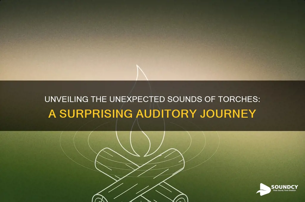 what sound does torchs make