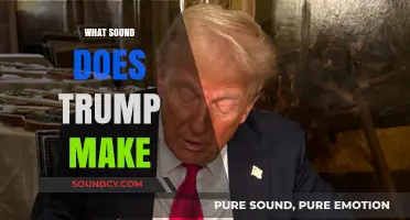 Decoding Trump's Signature Sounds: From Catchphrases to Controversial Noises