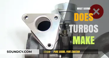 Unleashing the Turbo: Decoding the Distinct Sounds of Turbochargers