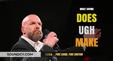 Decoding the Sound of 'Ugh': A Linguistic Exploration of Frustration