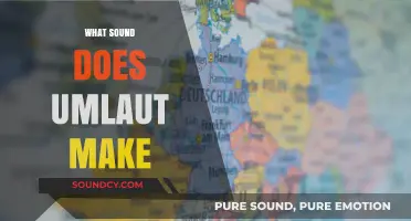 Unraveling the Mystery: What Sound Does the Umlaut Actually Make?