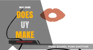 Unraveling the Mystery: What Sound Does 'Uy' Make in Words?