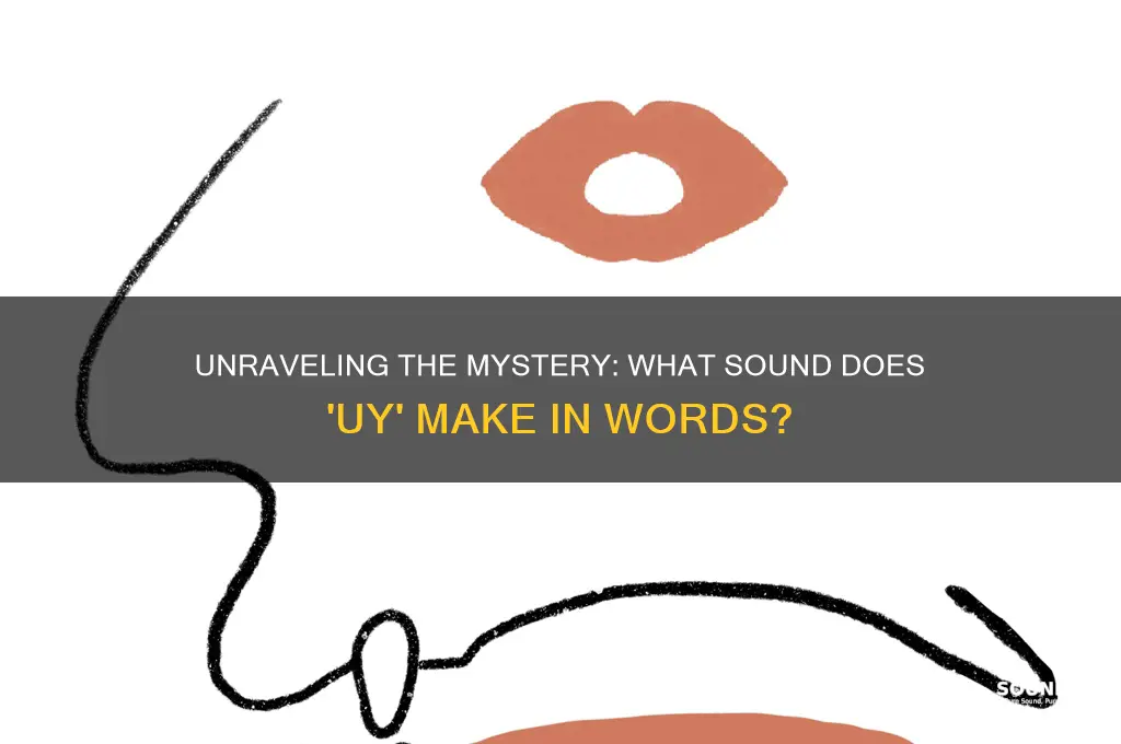 what sound does uy make