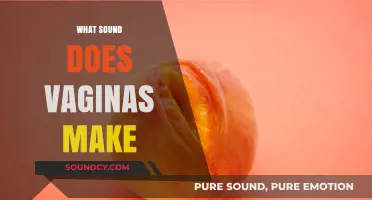Unveiling the Truth: What Sounds Do Vaginas Naturally Make?