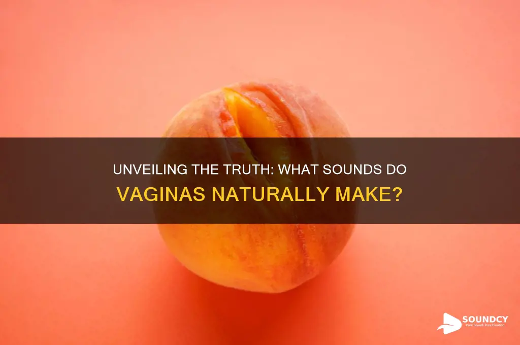 what sound does vaginas make