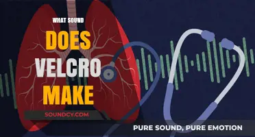 The Unique Rip and Grip: Exploring Velcro's Signature Sound