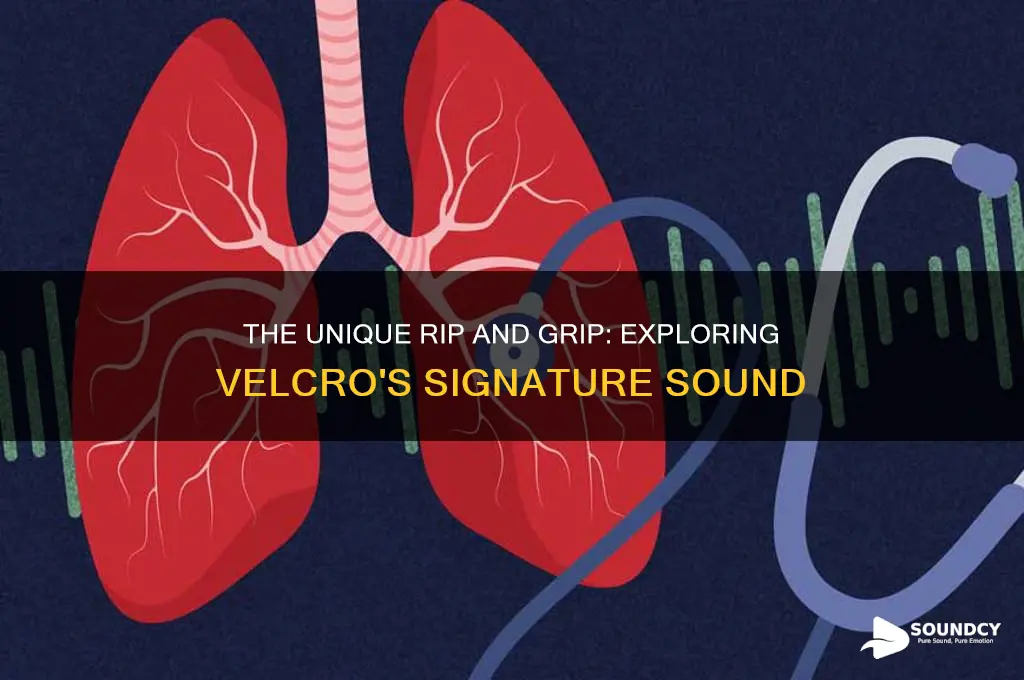 what sound does velcro make