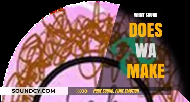 What Sound Does 'Wa' Make? Unraveling the Mystery of Its Pronunciation