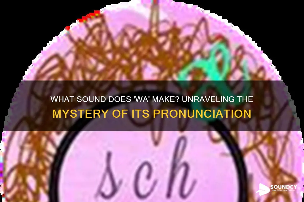 what sound does wa make