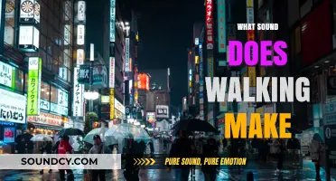Exploring the Unique Sounds of Walking: From Crunches to Echoes