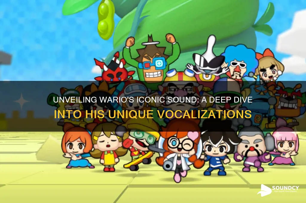 what sound does wario make