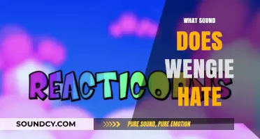 Wengie's Worst Noise: Uncovering the Sound She Absolutely Can't Stand