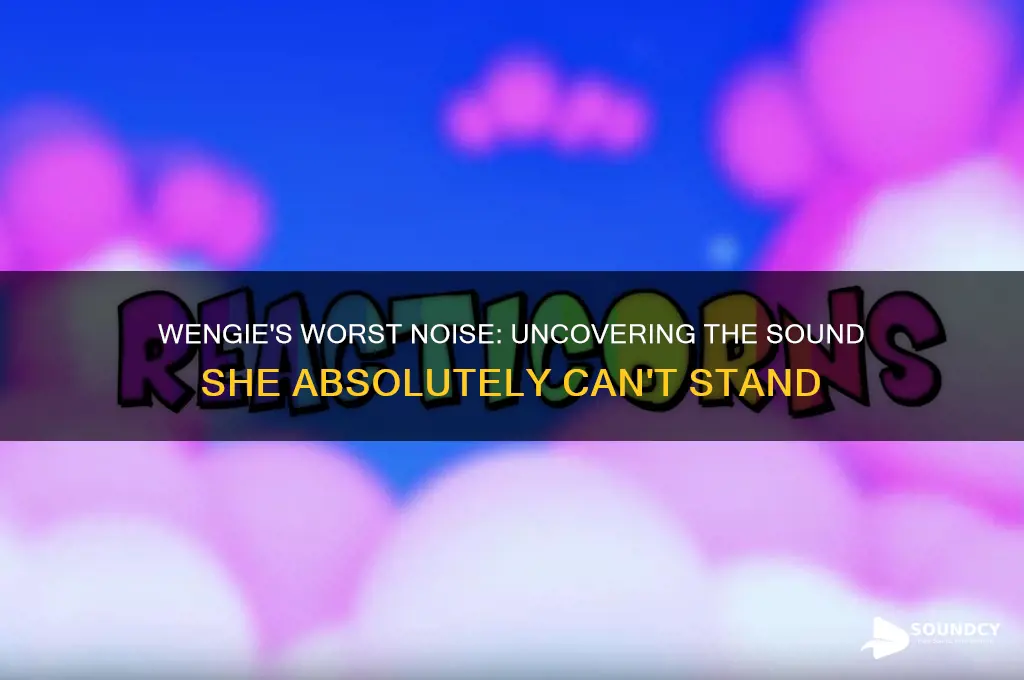 what sound does wengie hate