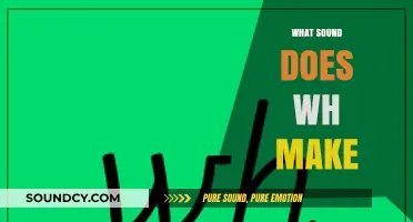 Unraveling the Mystery: What Sound Does 'Wh' Make in English?