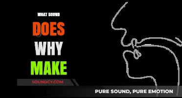 Unraveling the Mystery: What Sound Does Why Make?