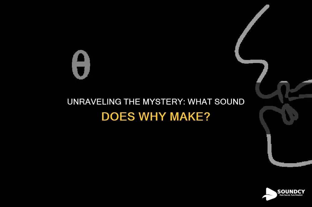 what sound does why make
