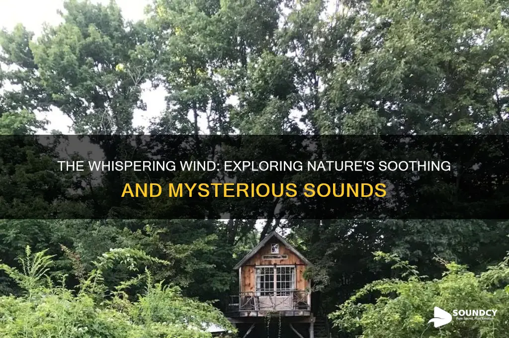 what sound does wind make