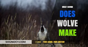 Unveiling the Mysterious Howls: What Sound Does a Wolf Make?