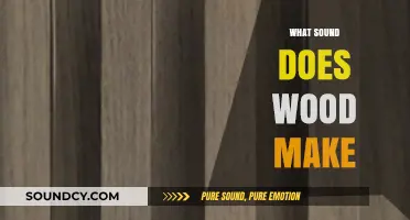 The Surprising Sounds of Wood: From Creaks to Cracks and Beyond