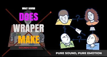 Unraveling the Mystery: What Sound Does a Wrapper Actually Make?