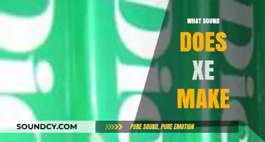What Sound Does Xe Make? Exploring the Pronunciation of Xe