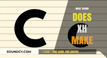 Unraveling the Mystery: What Sound Does 'Xh' Make in Language?