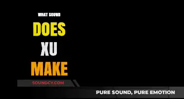 Unraveling the Mystery: What Sound Does Xu Make in Pinyin?