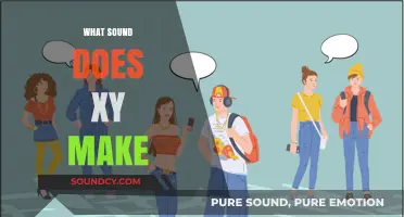 Unraveling the Mystery: What Sound Does 'XY' Make in Language?