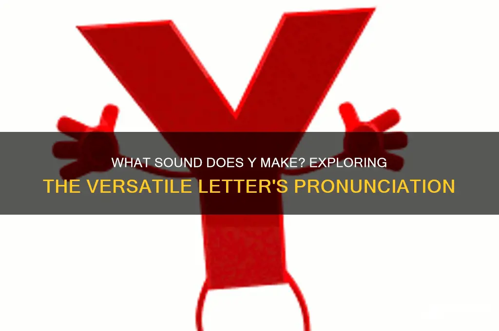 what sound does y gives