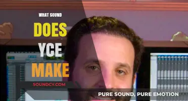 Unraveling the Mystery: What Sound Does Yce Make and Why?
