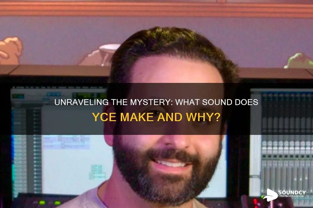 what sound does yce make